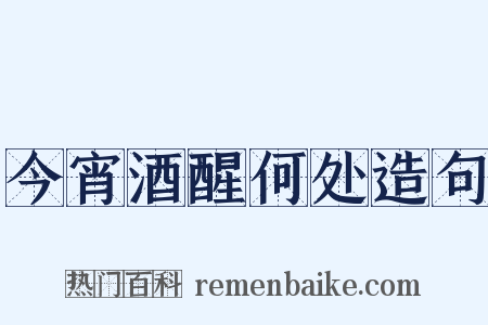 今宵酒醒何处造句是什么意思的图片